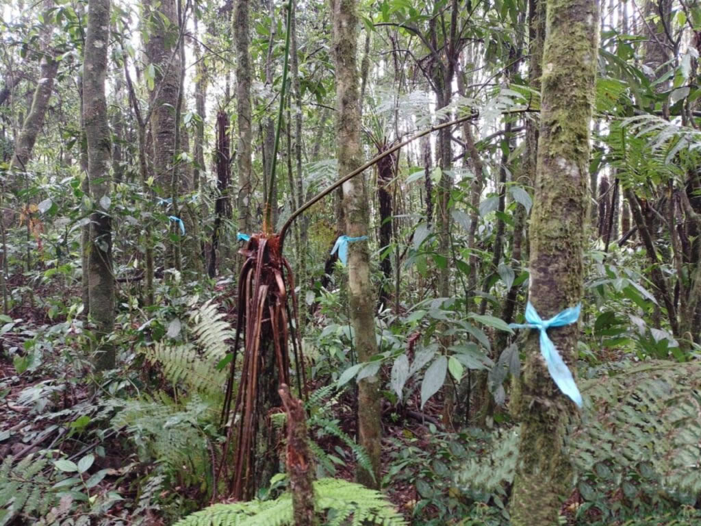 Delimitação de áreas consideradas de preservação permanente